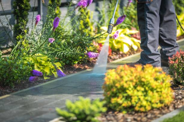Trusted Urania, LA Pressure Washing Experts