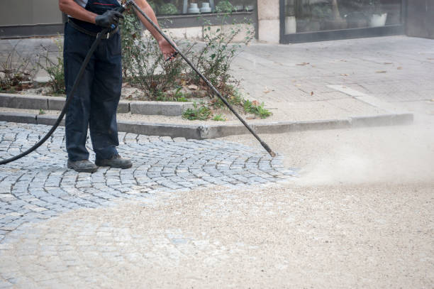 Best House Exterior Washing  in Urania, LA