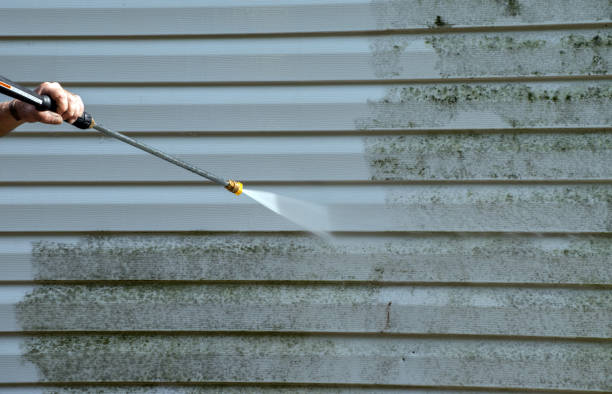 Animal Enclosure Cleaning in Urania, LA
